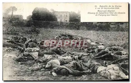 Ansichtskarte AK Bataille de La Marne Maurupt Champ de Bataille a Est du Chemin de Pargny Sur Saulx Militaria