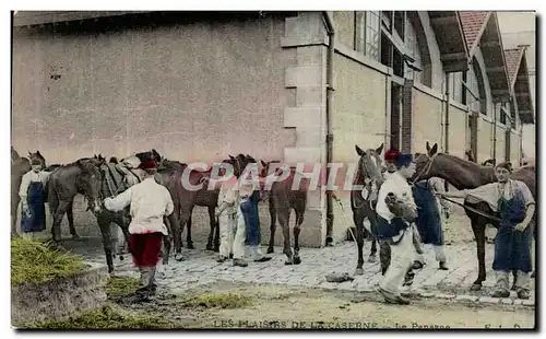 Cartes postales Les plaisirs De la Caserne Le pansage Militaria Chevaux Cheval