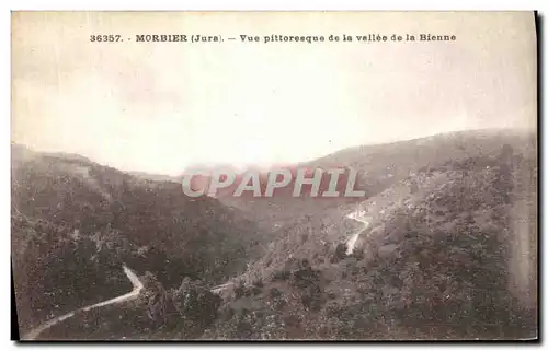 Cartes postales Morbier Vue Pittoresque de La Vallee de La Bienne