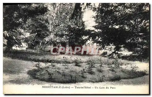 Cartes postales Noiretable Tourist Hotel Un Coin du Parc