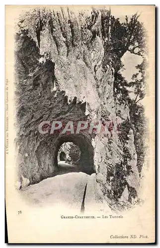 Ansichtskarte AK Dauphine Grande Chartreuse Les Tunnels