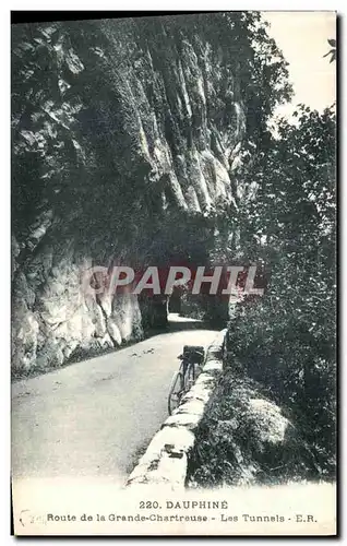 Cartes postales Dauphine De La Grande Chartreuse Les Tunnels