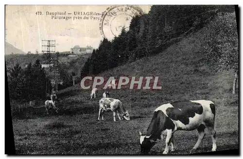 Ansichtskarte AK Dauphine Uriage les Bains Paturages pres du parc Vaches