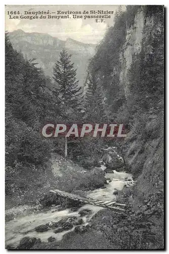 Cartes postales Dapuhine Environs de St Nizier Les Gorges du Bruyant Une passerelle