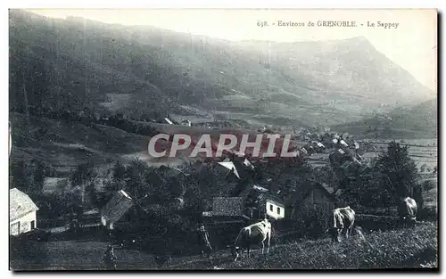 Ansichtskarte AK Environs de Grenoble Le Sappey Vaches