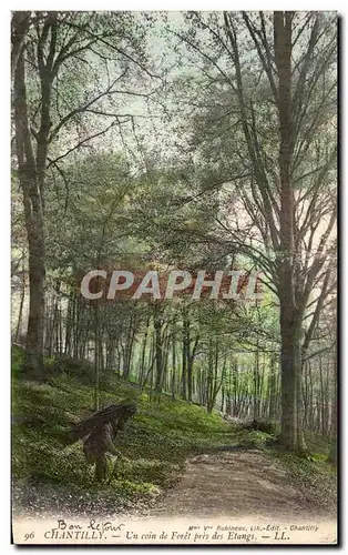 Cartes postales Chantilly Un Coin de Foret pris des Etangs animee