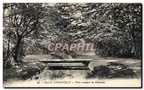 Ansichtskarte AK Parc de Chantilly Pont rustique du Hameau