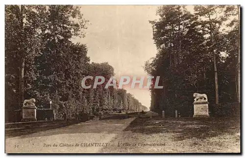 Cartes postales Parc du Chateau De Chantilly L allee de l entrainement