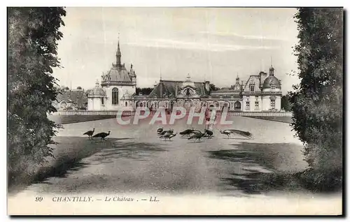 Cartes postales Chateau de Chantilly Le Chateau