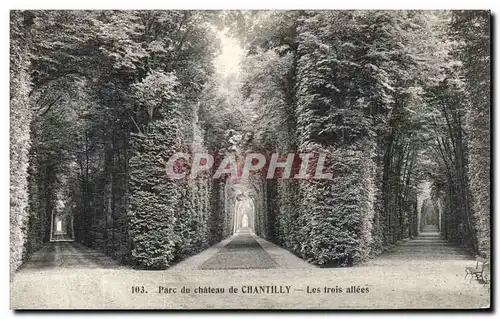 Ansichtskarte AK Parc du Chateau De Chantilly Les trois allees