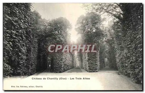 Ansichtskarte AK Chateau de Chantilly Les Trois Allees