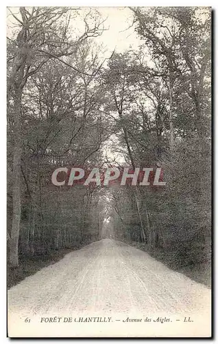 Cartes postales Foret de Chantilly Avenue des aigles