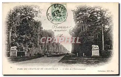 Cartes postales Parc Du Chateau de Chantilly L allee de l entrainement