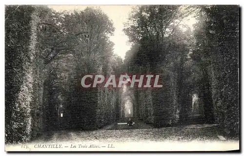 Cartes postales Chantilly Les Trois Allees