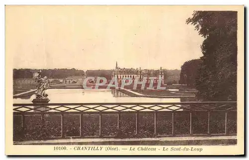 Cartes postales Chantilly Le Chateau Le saut du loup