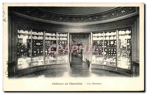 Cartes postales Chantilly Le Chateau Les Gemmes