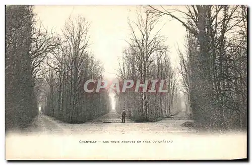 Cartes postales Chantilly Les Trois Avenues en face du chateau