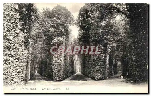 Cartes postales Chantilly Les Trois Allees