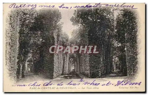 Cartes postales Parc du Chateau De Chantilly Les trois allees