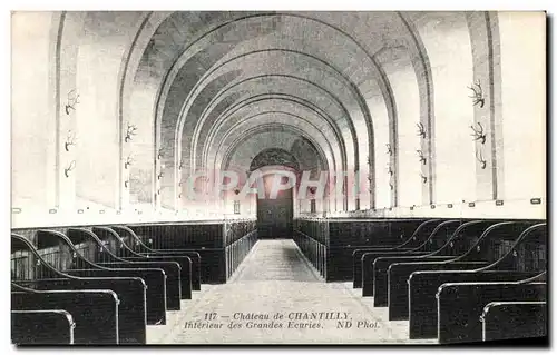 Cartes postales Chateau De Chantilly Interieur des grandes ecuries Chevaux