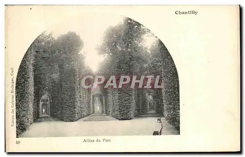 Cartes postales Chantilly Allees du parc