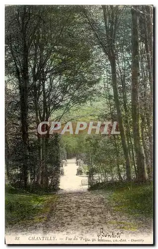 Cartes postales Chantilly Vue du parc