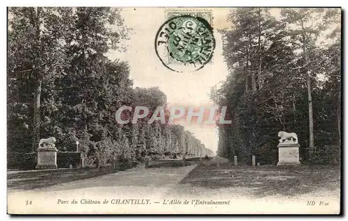 Ansichtskarte AK Chateau de Chantilly Parc Allee de l entrainement