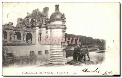 Cartes postales Chateau De Chantilly L Aile droite Chiens