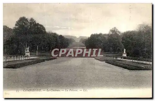 Cartes postales Compiegne Le Chateau La Pelouse