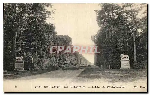 Ansichtskarte AK Parc Du Chateau de Chantilly L Allee de l Entrainement