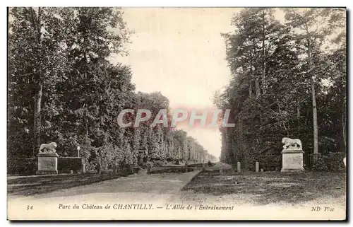 Cartes postales Parc Du Chateau de Chantilly L Allee de l Entrainement