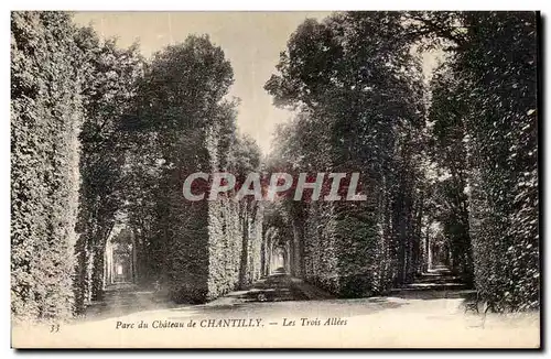 Cartes postales Parc du Chateau de Chantilly Les Trois Allees