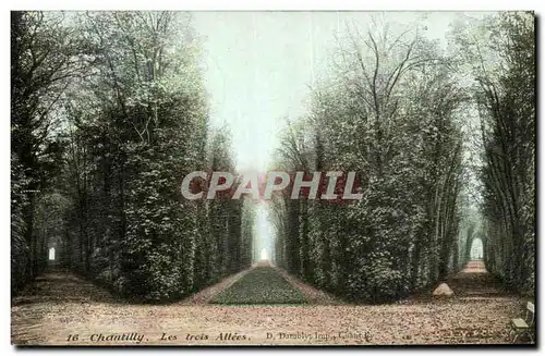 Cartes postales Chantilly Les Trois Allees