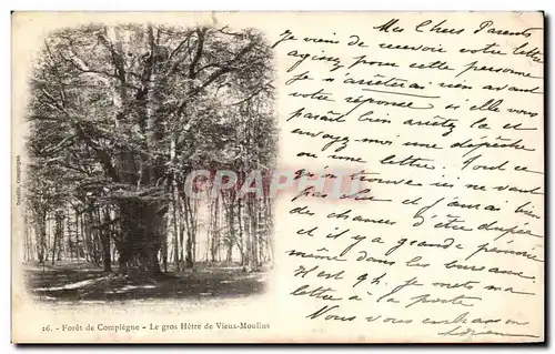 Cartes postales Foret De Compiegne Le Gros Hetre de Vieux Moulins