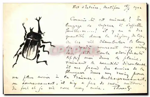 Ansichtskarte AK Dessin a la main Insecte