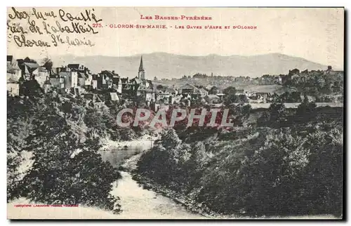 Cartes postales Les Basses Pyrenees Oloron Ste Marie Les Gaves D Aspe Et D Oloron