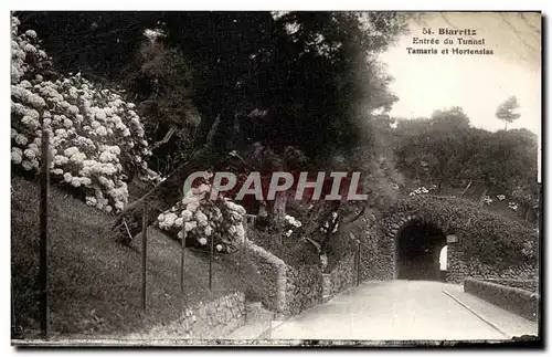 Ansichtskarte AK Biarritz Entree Du Tunnel Tamaris et Hortensias