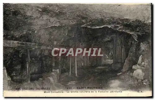 Cartes postales Saint Nectaire Mont Carnadore La Grotte Naturelle de La Fontaine Perifiante