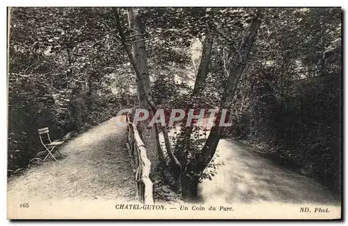 Cartes postales Chatelguyon Un Coin du Parc