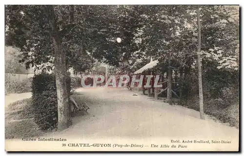 Cartes postales Chatelguyon Une Allee Du Parc