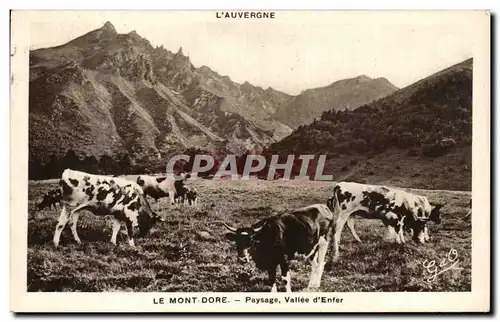 Cartes postales Le Mont Dore Paysage Vallee d Enfer Vaches