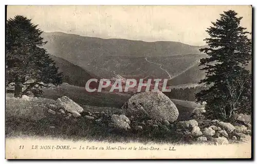 Ansichtskarte AK Le Mont Dore La Vallee du Mont Dore et Mont Dore