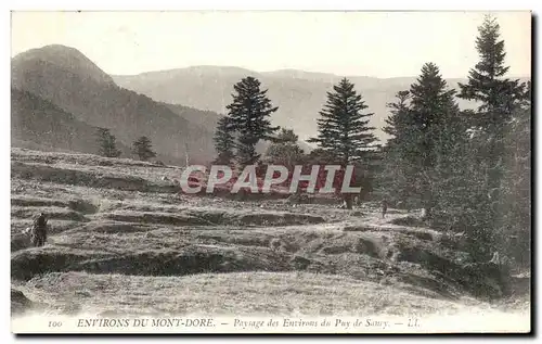 Cartes postales Environs du Mont Dore Paysage des environs du Puy de Sancy