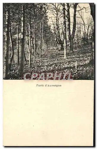 Cartes postales Foret D Auvergne