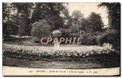 Ansichtskarte AK Angers Jardin Des Plantes L Ile Des Cygnes