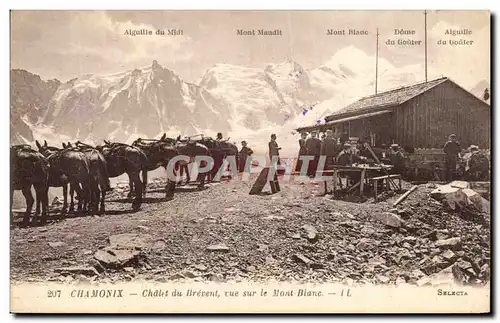 Ansichtskarte AK Chamonix Chalet Du Brevent Vue Sur Le Mont Blanc Anes Chevaux