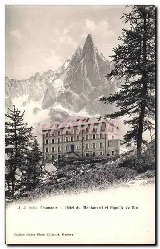 Cartes postales Chamonix Hotel du Montanvert et Aiguille du Dru