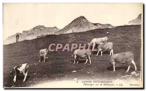 Ansichtskarte AK Savoie Pittoresque Paturages sur la Montagne Vaches