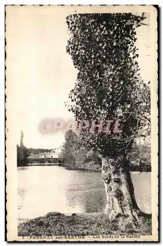 Cartes postales Fresnay sur Sarthe Les bords de la Sarthe