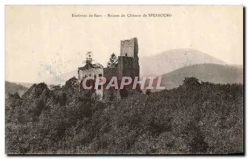 Cartes postales Environs De Barr Ruines Du Chateau de Spesbourg